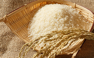 毎日変わるメニューバリエーション